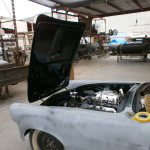 Jim & Lynn's 1956 Ford Thunderbird
